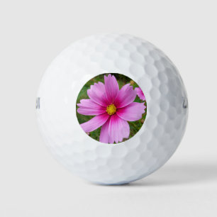 Rosa Kosmos Blume Wildblume Golfball