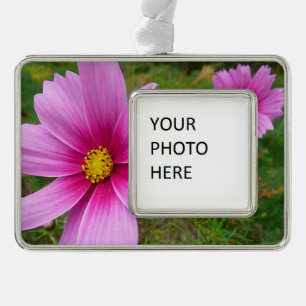 Rosa Kosmos-Blumen Wildblume Rahmen-Ornament Silber