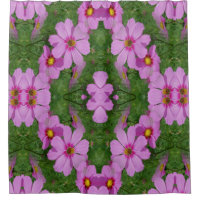 Rosa Kosmos Daisy Blume Abstrakte Natur