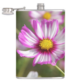 Rosa Kosmos, Hütte Garten Rosalinde Flachmann