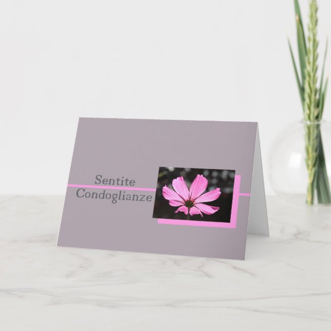 Rosa Kosmos italienische Beileid-Karte Karte (Vorderseite)