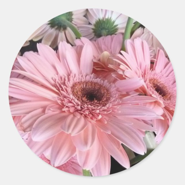 Rosa Kräuterbeere Runder Aufkleber (Vorderseite)