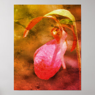 Rosa Lady Slipper Orchid Raindrop gestörte Kunst Poster