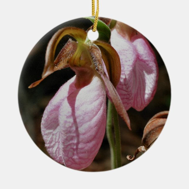 Rosa Lady Slipper Pair Blume Ornament (Vorne)