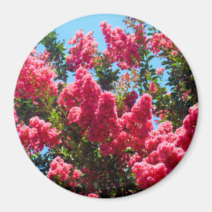 Rosa Lagerstroemia-Blüten-Fotografie Magnet