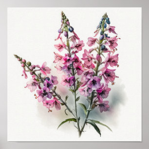 Rosa Larkspur Blume Art Print Poster