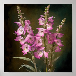 Rosa Larkspur Blume Art Print Poster