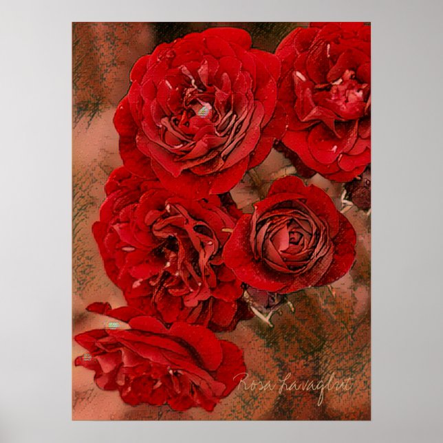 Rosa Lavaglut [Value Poster Paper] (Vorne)