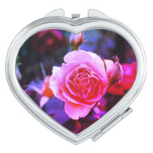 Rosa Leidenschaft in einer Rose