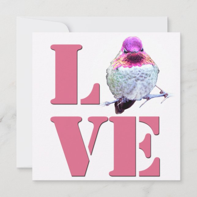 Rosa LIEBE Anna's Hummingbird Foto Flat Card Mitteilungskarte (Vorderseite)