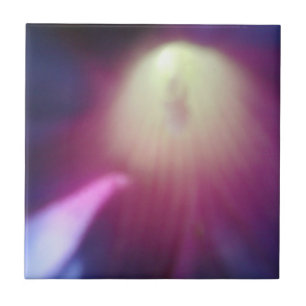 Rosa-Lila Blumenfliese Fliese