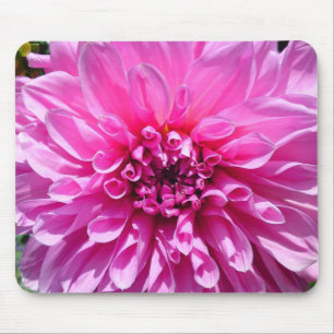 Rosa Lila Dahlia-Blume Mousepad