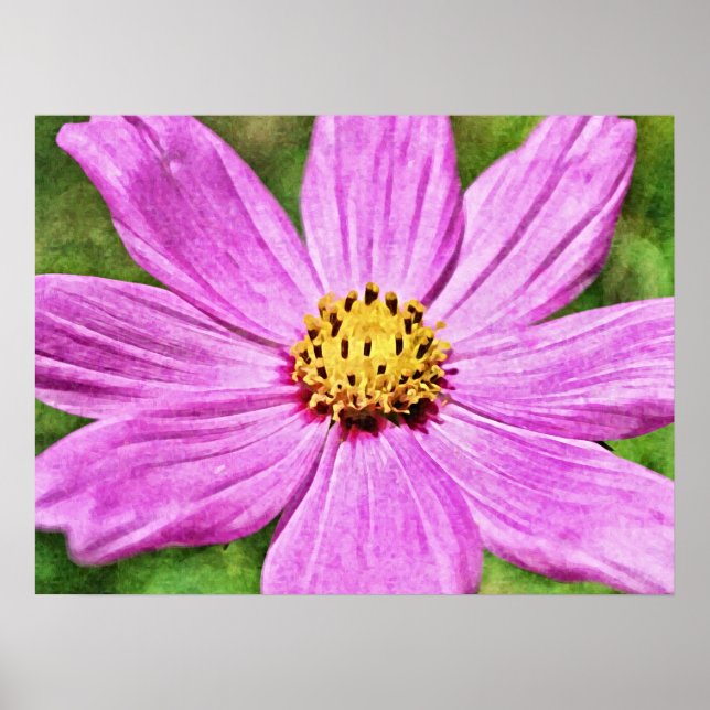 Rosa Lila Kosmos Blume Fotografische Kunst drucken Poster (Vorne)