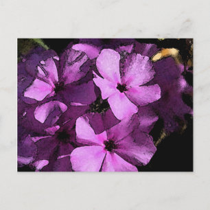 Rosa/Lila Postkarte