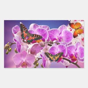 Rosa lila Schmetterling-Orchidee Blume Aquarell Rechteckiger Aufkleber