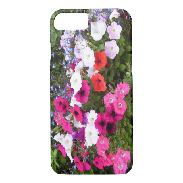 Rosa, lila und weiße Petunia-Blume Case-Mate iPhone Hülle (Rückseite)