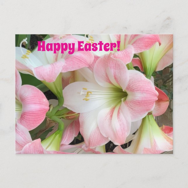 Rosa Lilie „Frohe Ostern“ Postkarte (Vorderseite)