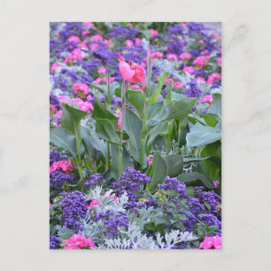 Rosa-Lilie im Frühjahrsgarten Postkarte