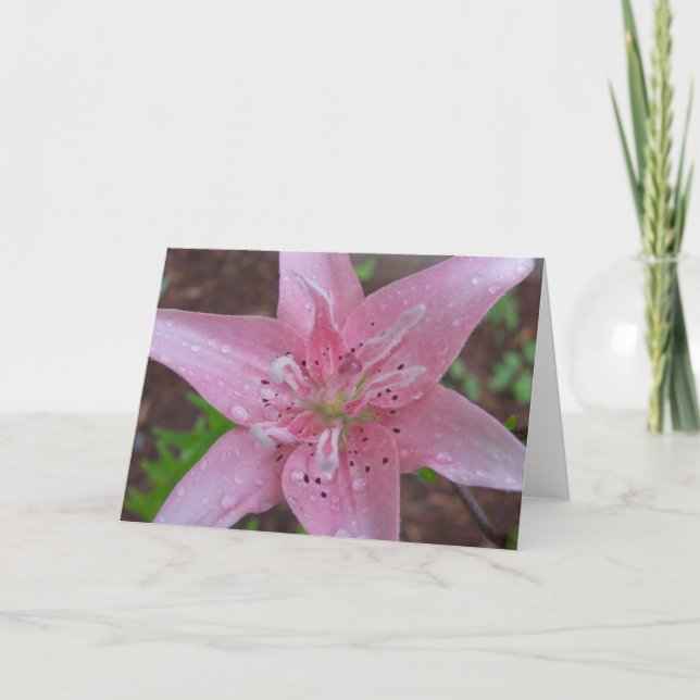 Rosa Lilie nach einer Dusche Karte (Vorderseite)