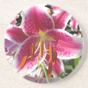 Rosa Lilienrosa Blume tropische Blume Getränkeuntersetzer
