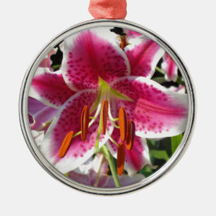 Rosa Lilienrosa Blume tropische Blume Silbernes Ornament