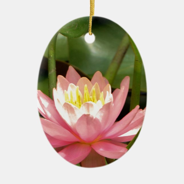 Rosa Lilienwasser-Blume Keramikornament (Vorne)