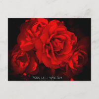 Rosa Lilli Marleen : Carte postale