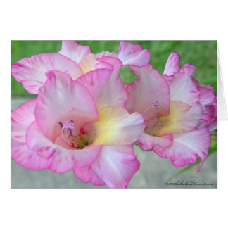 Rosa Lilly-Palete-Messer
