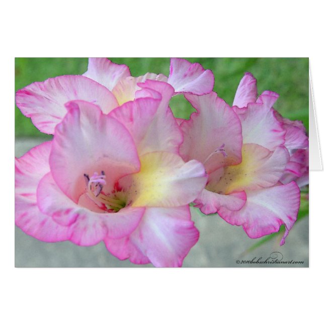Rosa Lilly-Palete-Messer (Vorderseite (Horizontal))