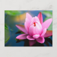 Rosa Lippe Postkarte