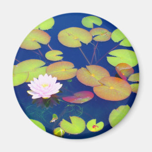 Rosa Lotos-Blume, die mit Lilienauflagen auf Teich Magnet