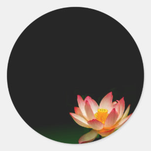 Rosa Lotus Aufkleber, personalisieren Runder Aufkleber