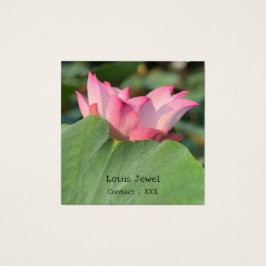 Rosa Lotus-Blume