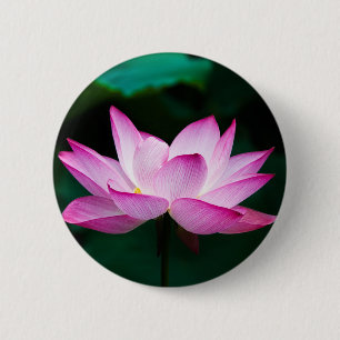 Rosa Lotus-Blume Button