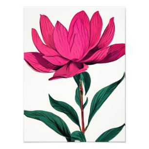 Rosa Lotus-Blume Fotodruck