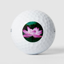 Rosa Lotus-Blume