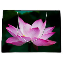 Rosa Lotus-Blume