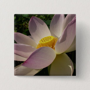 Rosa Lotus Blume III Sommer-Blütenzeit Button