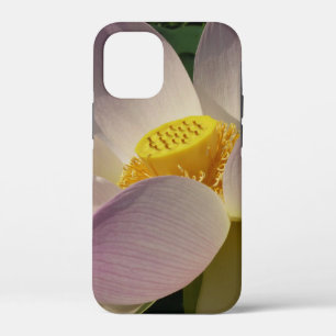 Rosa Lotus Blume III Sommer-Blütenzeit Case-Mate iPhone Hülle