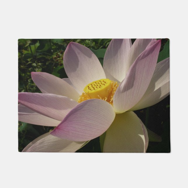 Rosa Lotus Blume III Sommer-Blütenzeit Fußmatte (Vorderseite)