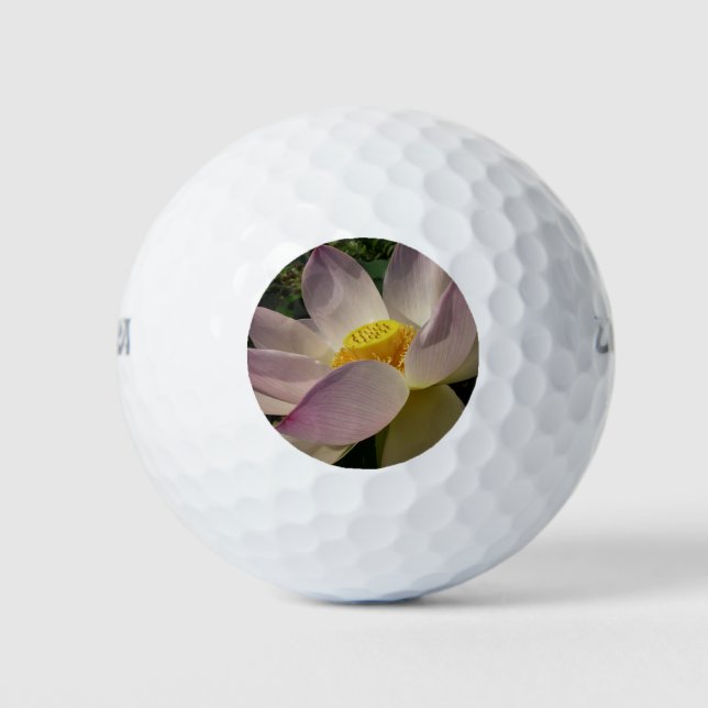 Rosa Lotus Blume III Sommer-Blütenzeit Golfball (Vorderseite)