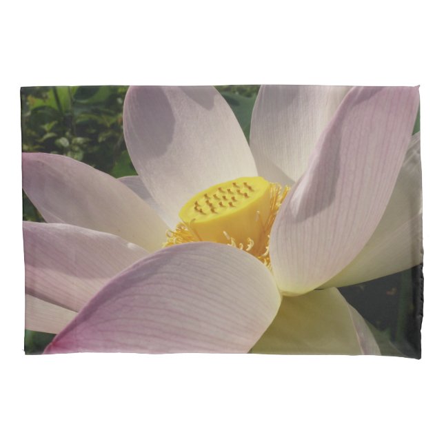 Rosa Lotus Blume III Sommer-Blütenzeit Kissenbezug (Vorderseite)