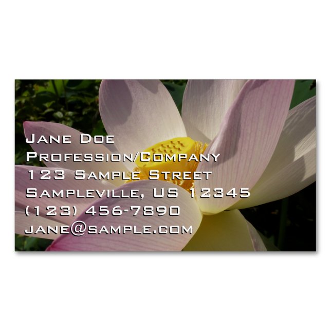 Rosa Lotus Blume III Sommer-Blütenzeit Magnetische Visitenkarte (Vorderseite)