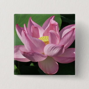 Rosa Lotus Blume IV Button