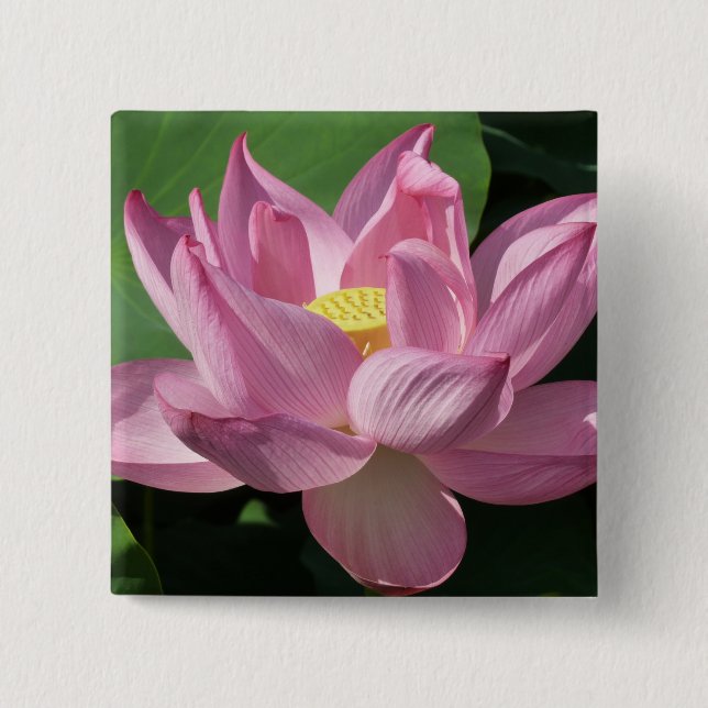 Rosa Lotus Blume IV Button (Vorderseite)