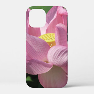 Rosa Lotus Blume IV Case-Mate iPhone Hülle