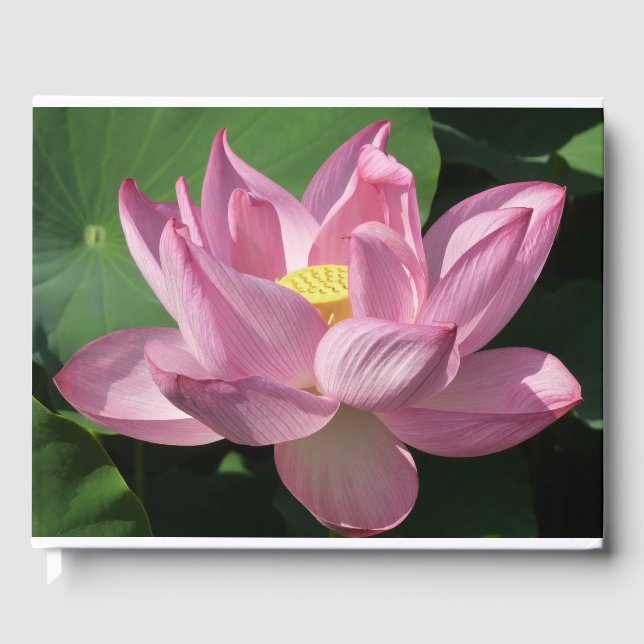 Rosa Lotus Blume IV Gästebuch (Vorderseite)