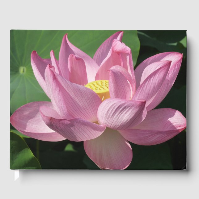 Rosa Lotus Blume IV Gästebuch (Vorderseite)