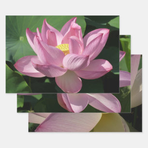 Rosa Lotus Blume IV Geschenkpapier Set