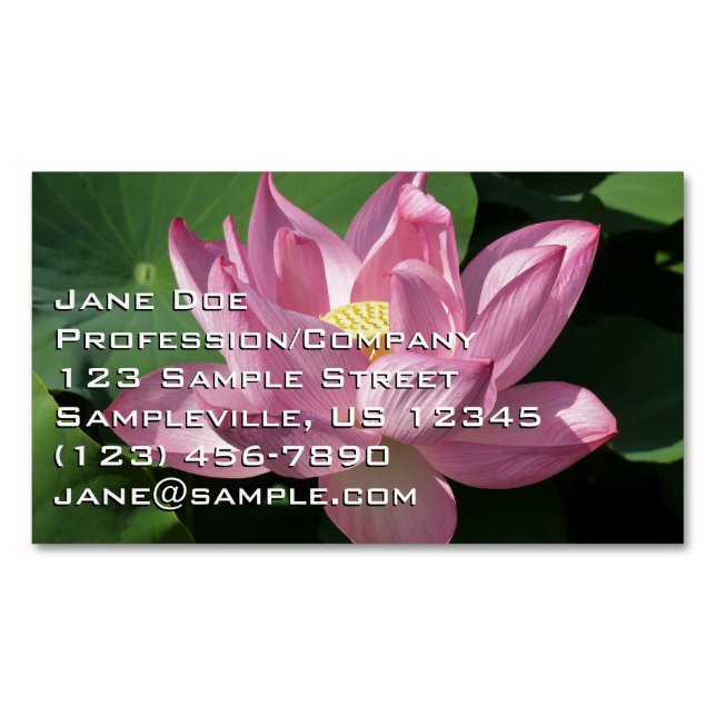 Rosa Lotus Blume IV Magnetische Visitenkarte (Vorderseite)